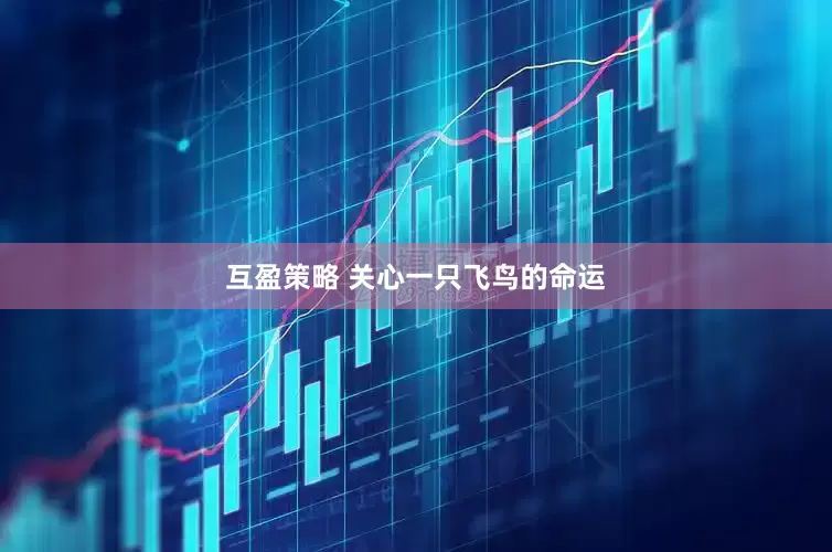 互盈策略 关心一只飞鸟的命运
