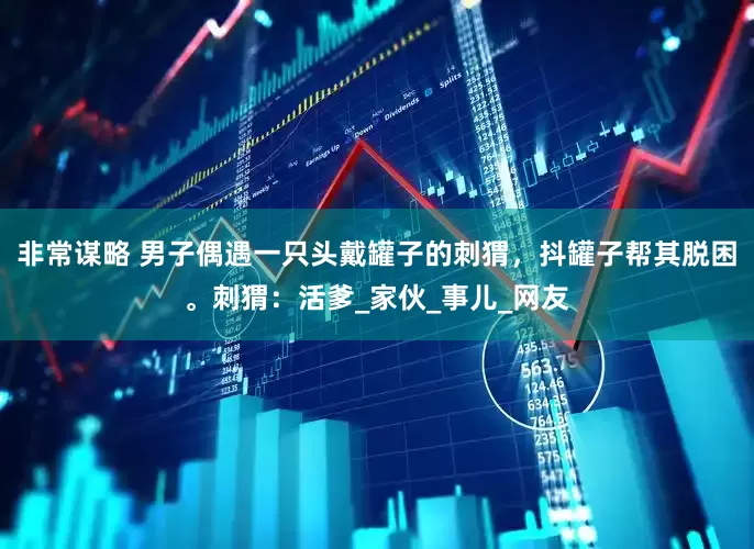 非常谋略 男子偶遇一只头戴罐子的刺猬，抖罐子帮其脱困。刺猬：活爹_家伙_事儿_网友