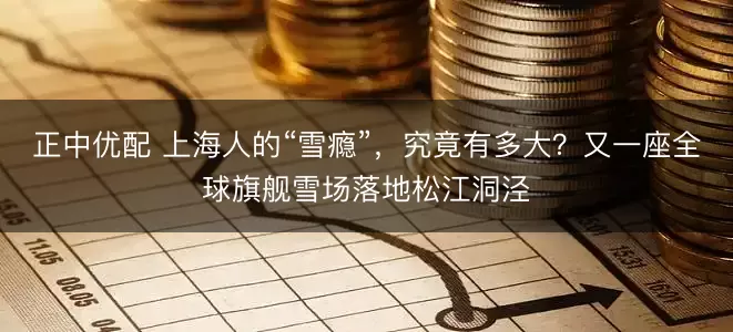 正中优配 上海人的“雪瘾”,究竟有多大?又一座全球旗舰雪场落地松江洞泾